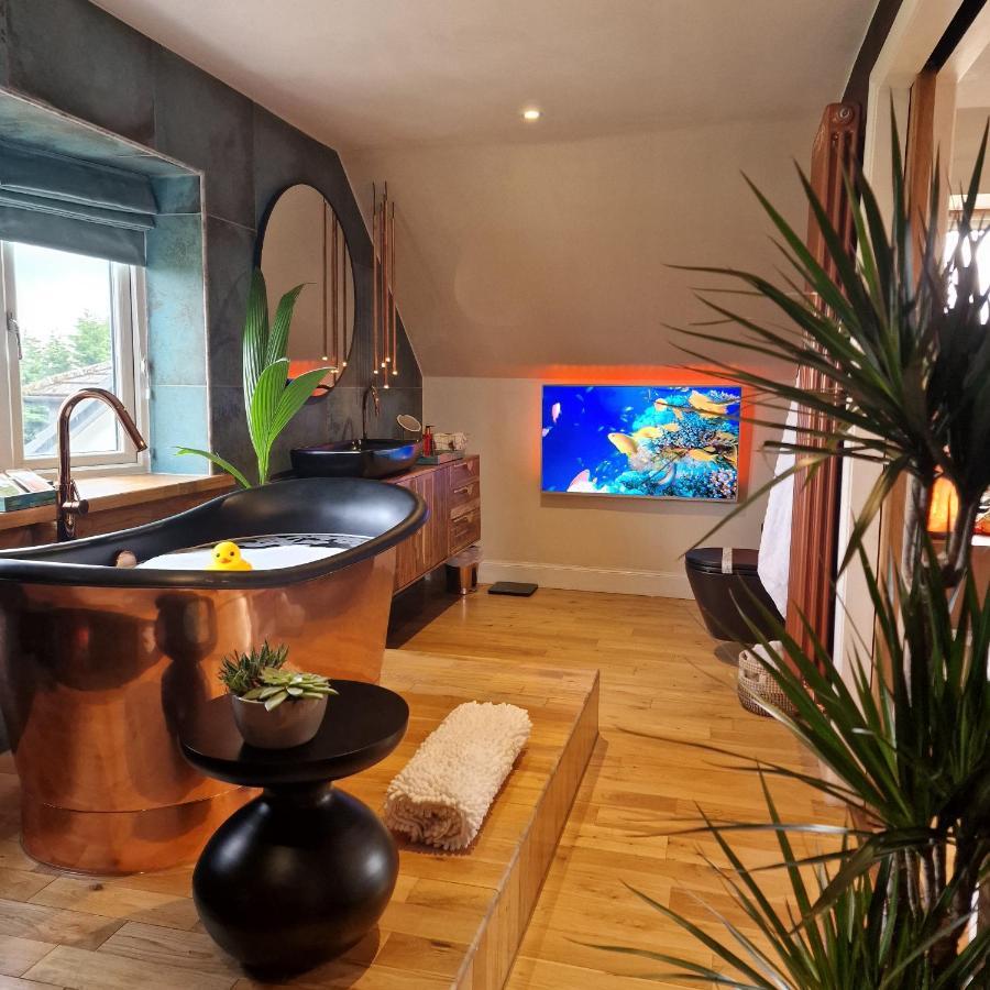New Amazing The Black Wolf Suite The Grumpy Schnauzer B&B Airdrie Bagian luar foto