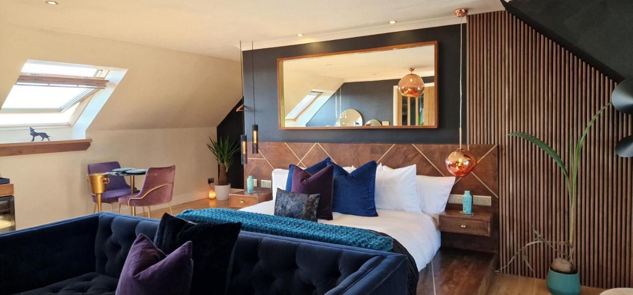 New Amazing The Black Wolf Suite The Grumpy Schnauzer B&B Airdrie Bagian luar foto